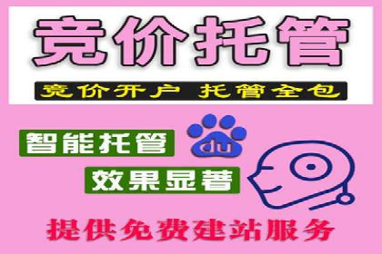 探索SEM竞价代运营公司的服务模式与市场趋势